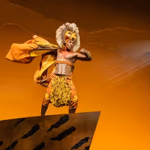 Video: Gilbert Domally Is Crossing the Country as King of the Pride Lands