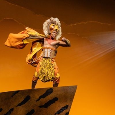 Video: Gilbert Domally Is Crossing the Country as King of the Pride Lands