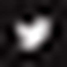 COCA Celebrates Expansion With ART LEADS THE WAY: A COCA Grand Opening Film