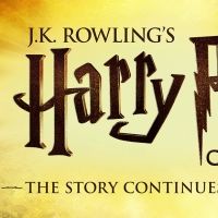 HARRY POTTER AND THE CURSED CHILD Sets Records in Both New York and San Francisco