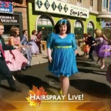 VIDEO: EVERYBODY DANCE NOW! A Look Back at 'You Can't Stop the Beat' From HAIRSPRAY!