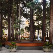 OPERA DAY IN THE BAY to Unite 13 Companies for Free Outdoor Concert Interview