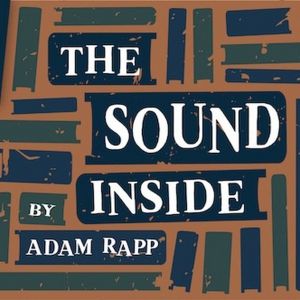Moonstone Theatre Company to Present the St. Louis Premiere of THE SOUND INSIDE by…