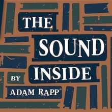 Moonstone Theatre Company to Present the St. Louis Premiere of THE SOUND INSIDE by Ad