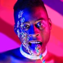 Michigan Premiere of Robert O'Hara's BOOTYCANDY! to be Presented by The Ringwald Thea