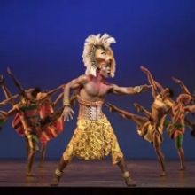 Broadway Brainteasers: THE LION KING Wild Word Search