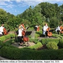 BWW Review: ROY BERKO HERE AND THERE: DOBAMA, THE MUSICAL THEATRE PROJECT, MILLENIUM 