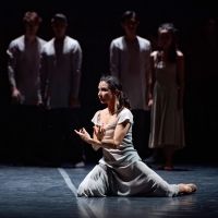 Principal Cast Announced for English National Ballet's GISELLE by Akram Khan at BAM