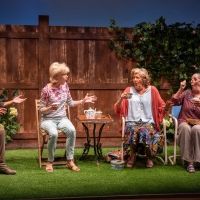 BWW Review: ESCAPED ALONE at Signature Theatre