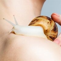 Review: SNAIL, VAULT Festival