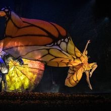Review: LUZIA at Cirque Du Soliel