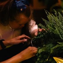 Oily Cart Will Present A WORLD BENEATH US This Summer