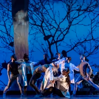 BWW Interview: Nimbus Dance Works Brings Equity Home