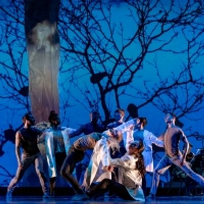 BWW Interview: Nimbus Dance Works Brings Equity Home