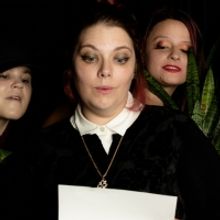 Pigeon Creek Bringing TWELFTH NIGHT To The Sauk