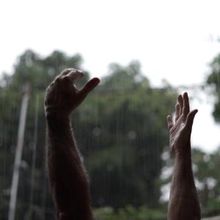 MY FATHER'S PRISON to Premiere on PBS.org