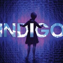 Review: INDIGO at Human Race Theatre Company