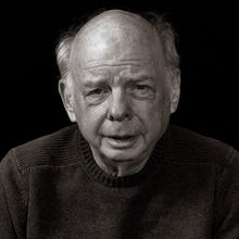 Wallace Shawn's WHAT WE DID BEFORE OUR MOTH DAYS Extends Off-Broadway