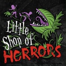 Cast Set for LITTLE SHOP OF HORRORS at Second Street Players
