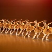 The Duchess Of Cornwall Will Visit Elmhurst Ballet School In Birmingham