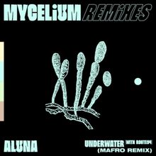 Aluna Shares Euphoric MAFRO Remix Of Route 94 Collab 'Underwater'