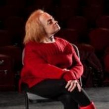 Actor Vincent D'Onofrio Joins Queens Theatre's 'Theatre For All' Program To Advance D