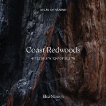 Elsa Nilsson Releases New Album COAST REDWOODS 41°32'09.8”N 124°04'35.5”W