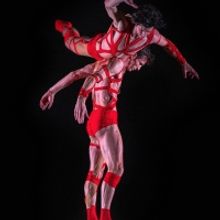 BWW Review: BWW REVIEW: THE DANCE GALLERY FESTIVAL PRESENTS 18 CHOREOGRAPHERS at Aile