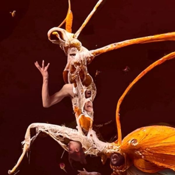Video: Watch An All New Trailer For Frantic Assembly's METAMORPHOSIS - UK Regional Theater Video