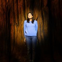 Broadway Jukebox: Broadway's Great Outdoors