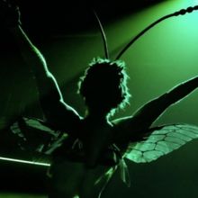 INVASIVE SPECIES Sets New Box Office Records at King's Head Theatre