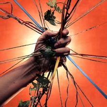 Review: BALLAD LINES IN CONCERT, Cottiers