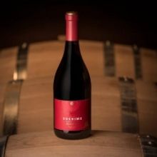 UNANIME Pinot Noir from Mascota Vineyards-A Top Summery Choice