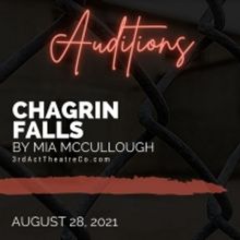 3rd Act Theatre Company Announces Auditions for Oklahoma Premiere of CHAGRIN FALLS
