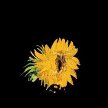 Humphry Slocombe Creates Limited Edition Flavor To Celebrate Immersive Van Gogh