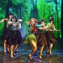 BWW Review: SHREK THE MUSICAL at Palm Canyon Theatre