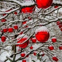 Student Blog: What We Know About 'Spirited': The Soon-to-Be Holiday Favorite