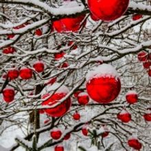 Student Blog: What We Know About 'Spirited': The Soon-to-Be Holiday Favorite