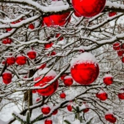 Student Blog: What We Know About 'Spirited': The Soon-to-Be Holiday Favorite