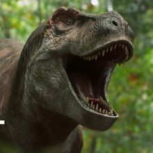 Video: PBS and BBC Unveil WALKING WITH DINOSAURS Trailer