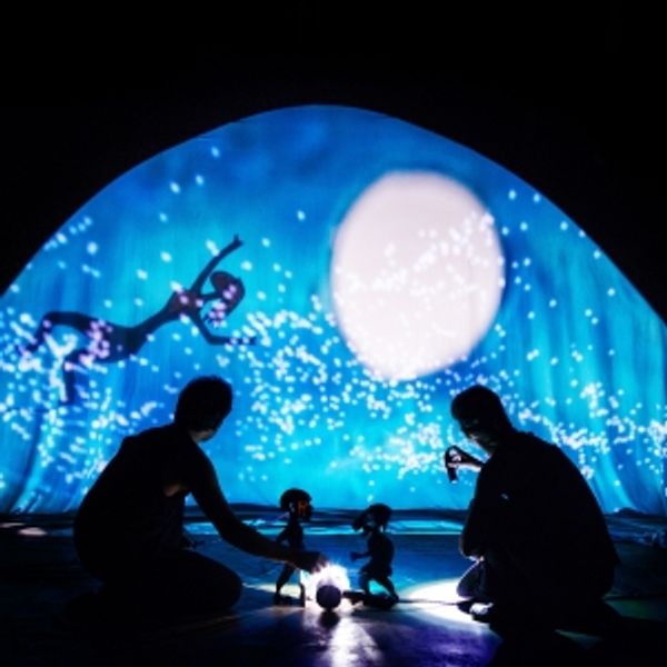 INTERNATIONAL PUPPET FRINGE FESTIVAL to Return to New York City in August Photo