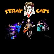 STRAY CATS to Embark on Summer 2024 Tour
