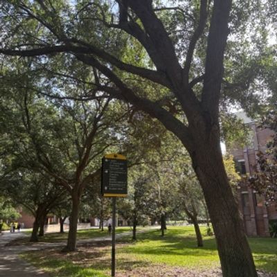 Student Blog: Seizing the Rest of the Semester