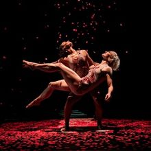 Review: PILOBOLUS: OTHER WORLDS COLLECTION at Strathmore