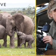 Award-Winning Cinematographer Shares His Secrets Of Filming African Wildlife at Overt