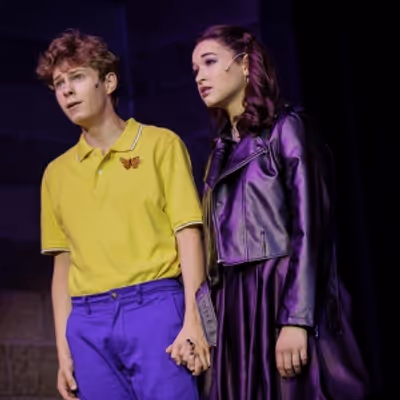 Review: DISNEY'S DESCENDANTS at Gooseberry Park Players At Horizon Middle School