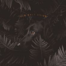 Old Salt Union Album 'Where The Dogs Don't Bite' Out Today