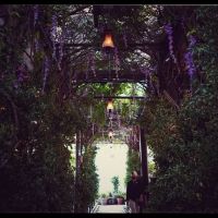 The McKittrick Hotel to Open Gallow Green Rooftop