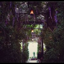 The McKittrick Hotel to Open Gallow Green Rooftop