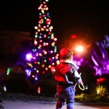 Celebrate The Holidays With Casa Romantica, San Clemente's Premier Art Destination